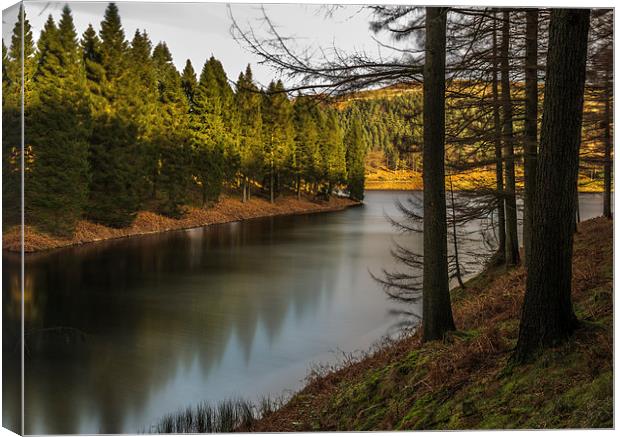 ....just some trees and water Canvas Print by Jonathan Parkes