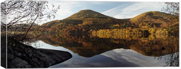 Loweswater Gold Canvas Print by Cheryl Quine