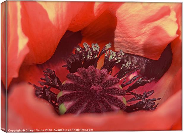 Ruby Red Canvas Print by Cheryl Quine