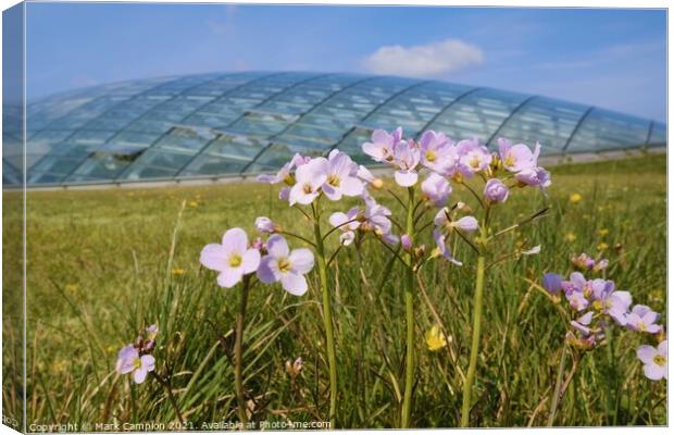 Spring Meadow Flowers at the National Botanic Garden of Wales 2 Canvas Print by Mark Campion