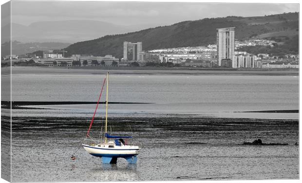 Rosie in Swansea Bay Canvas Print by Mark Campion