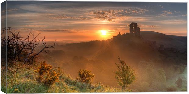Corfe Canvas Print by Andrew Bannister