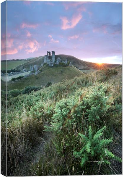 Corfe sunset Canvas Print by Andrew Bannister