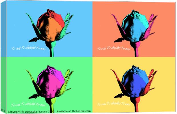 Four coloured rosebuds, boccioli di rosa colorati Canvas Print by Donatella Piccone