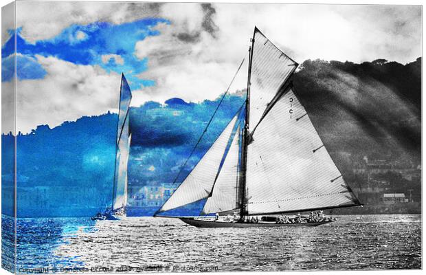 Saint Tropez sails, Saint Tropez voiles Canvas Print by Donatella Piccone