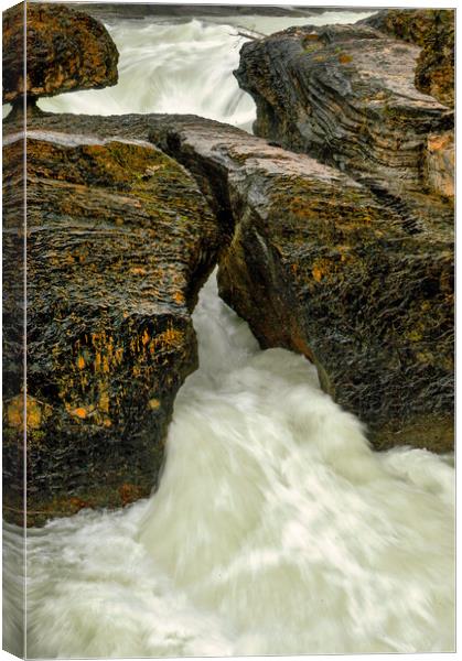 Kicking Horse River Canvas Print by Mark Llewellyn