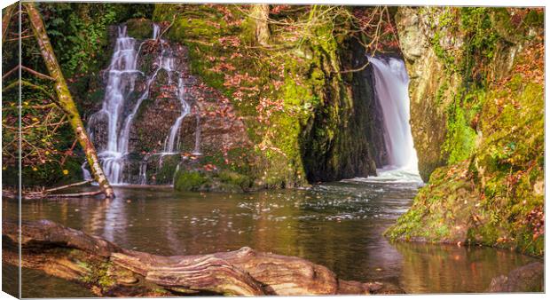 Ffynnone Falls Canvas Print by Mark Llewellyn