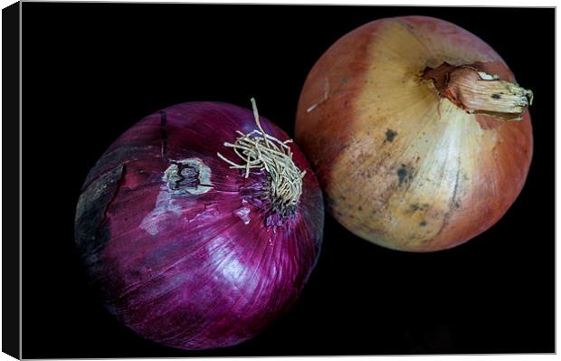 Onions Canvas Print by Mark Llewellyn