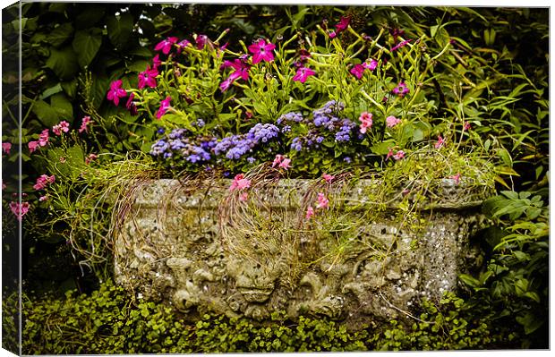 Planter Canvas Print by Mark Llewellyn