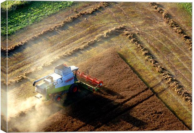 Harvesting Canvas Print by Mark Llewellyn