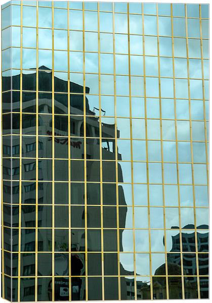 Auckland Reflection Canvas Print by Mark Llewellyn
