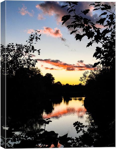 River Sunset Canvas Print by Mark Llewellyn