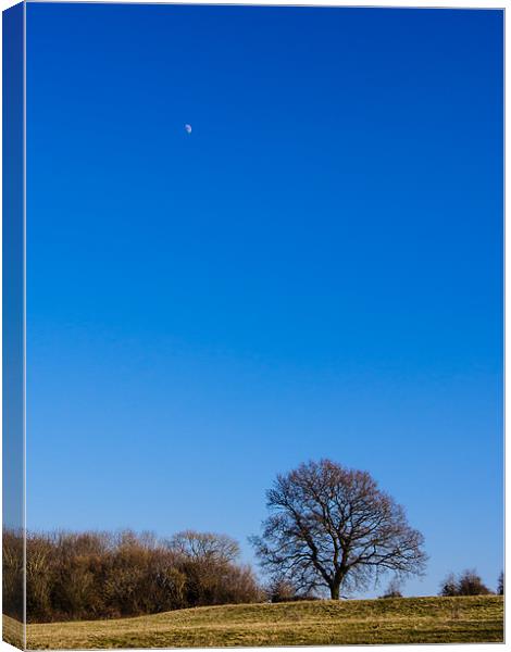 Blue Sky Day Canvas Print by Mark Llewellyn