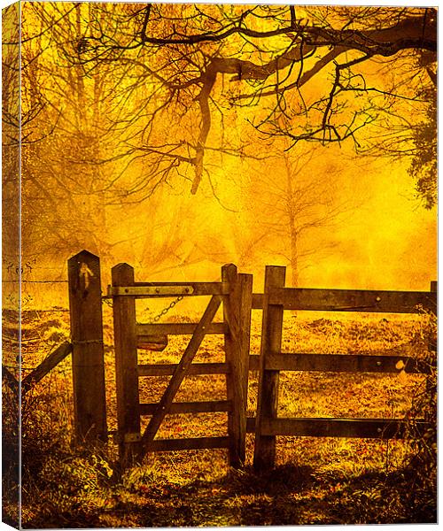Gate to Nowhere Canvas Print by Mark Llewellyn