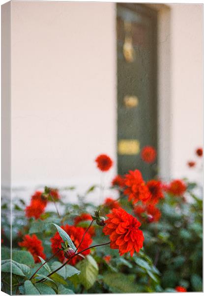 Red Flowers Canvas Print by Mark Llewellyn