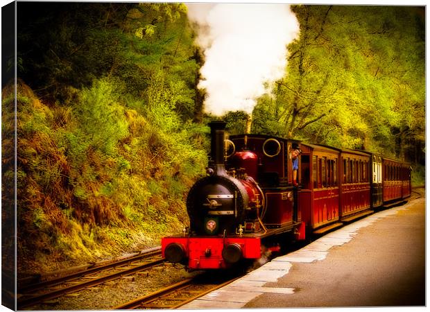 Talyllyn Railway Dolgoch, Wales, UK Canvas Print by Mark Llewellyn