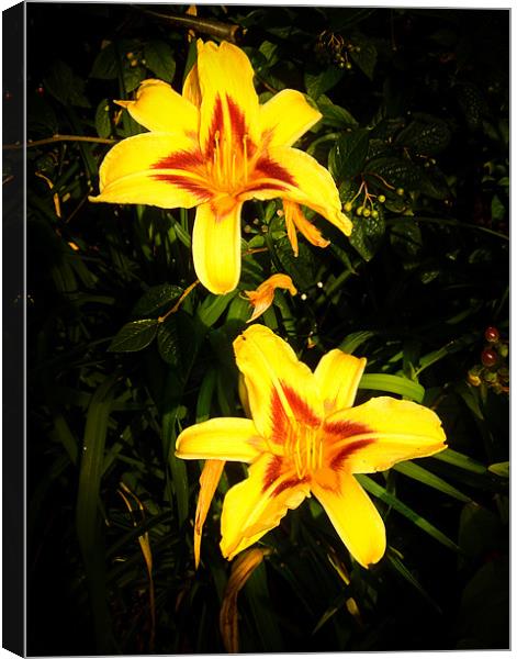 Yellow Lilies Canvas Print by Mark Llewellyn