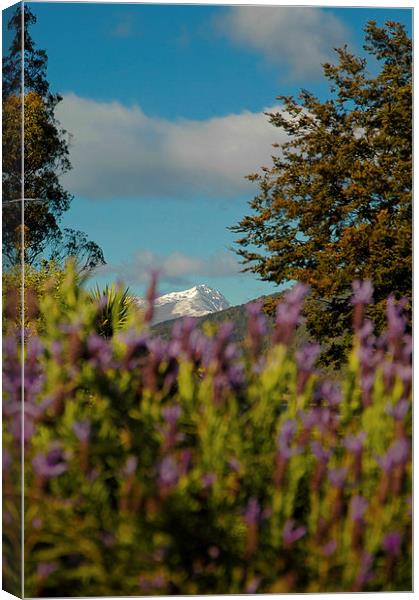 Mount Cook, New Zealand Canvas Print by Mark Llewellyn