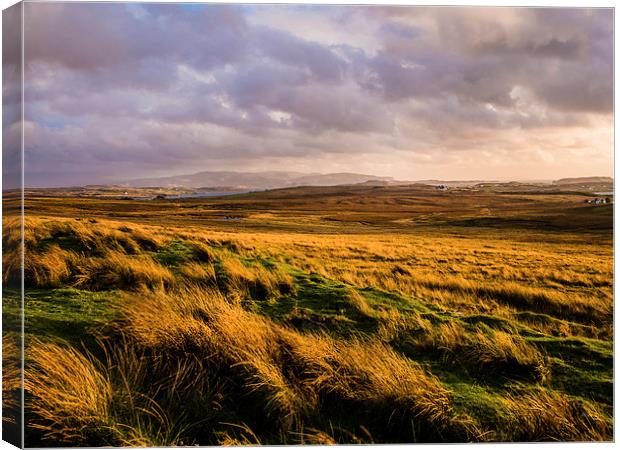 Isle of Skye Moorland, Scotland, UK Canvas Print by Mark Llewellyn