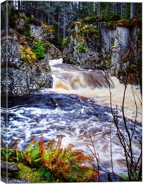 Laggan Falls, Scotland, UK Canvas Print by Mark Llewellyn