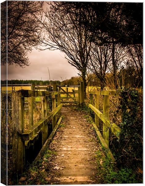 Wooden Footbridge Canvas Print by Mark Llewellyn