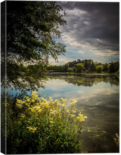 Storm Over the Lake, Roath Park, Cardiff, Wales, U Canvas Print by Mark Llewellyn