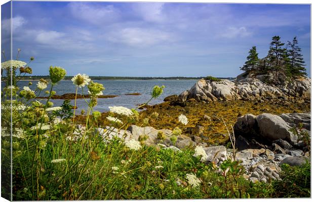 Pleasant Point, Nova Scotia, Canada Canvas Print by Mark Llewellyn