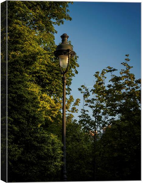 Paris Streetlight Canvas Print by Mark Llewellyn