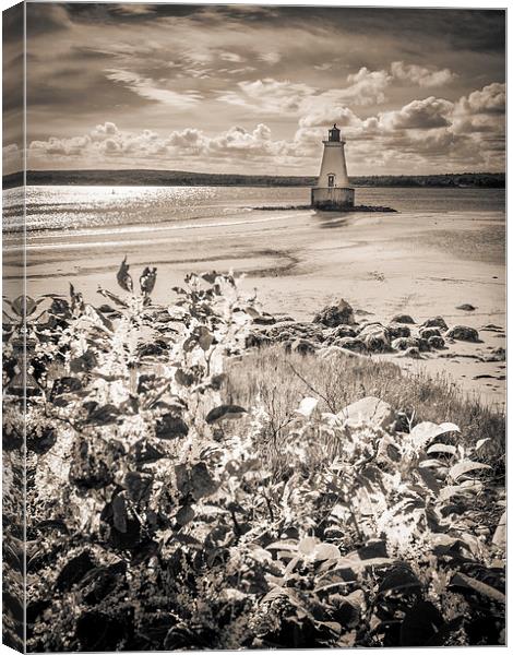 Sandy Point Lighthouse, Shelburne, Nova Scotia, Ca Canvas Print by Mark Llewellyn
