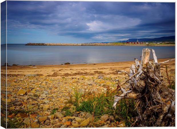 Inverness Beach, Cape Breton, Canada Canvas Print by Mark Llewellyn