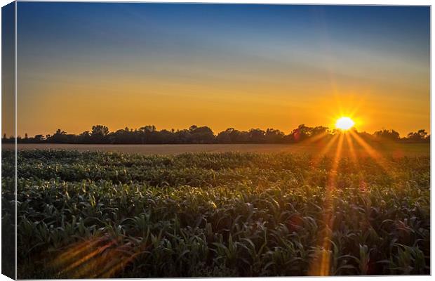 Norfolk Sunset, Norfolk, England, UK Canvas Print by Mark Llewellyn