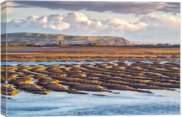 Low Tide at Aberdovey, Wales, UK Canvas Print by Mark Llewellyn