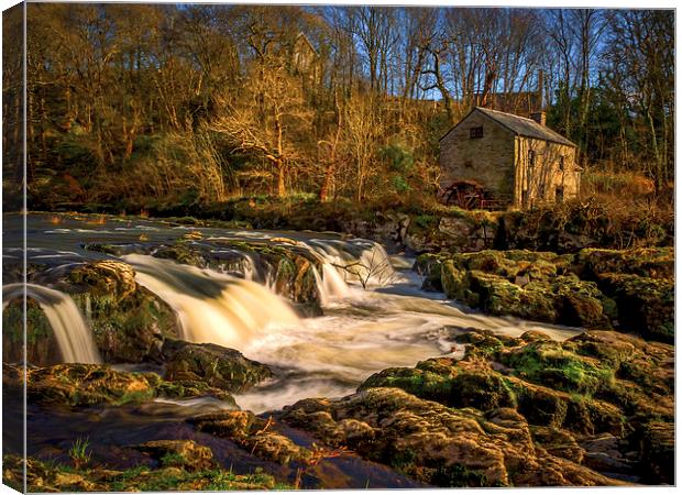 Cenarth Falls and Mill, Carmarthenshire, Wales, UK Canvas Print by Mark Llewellyn