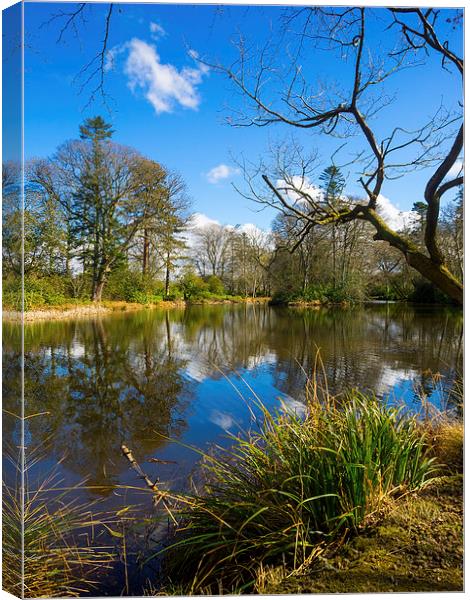 Lake Reflections, Wales, UK Canvas Print by Mark Llewellyn