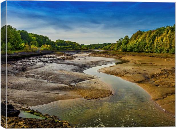 Carew River Estuary, Carew, Pembrokeshire, Wales,  Canvas Print by Mark Llewellyn
