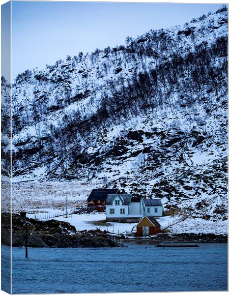 Norwegian Homes, Tromso, Norway Canvas Print by Mark Llewellyn