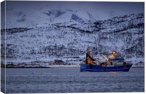Fishing in a Fjord, Tromso, Norway Canvas Print by Mark Llewellyn