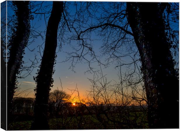 Boncath Sunset, Pembrokeshire, Wales, UK Canvas Print by Mark Llewellyn