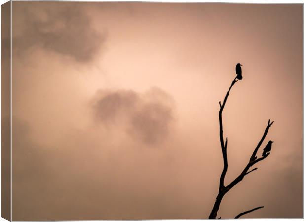 The Birds Canvas Print by Mark Llewellyn