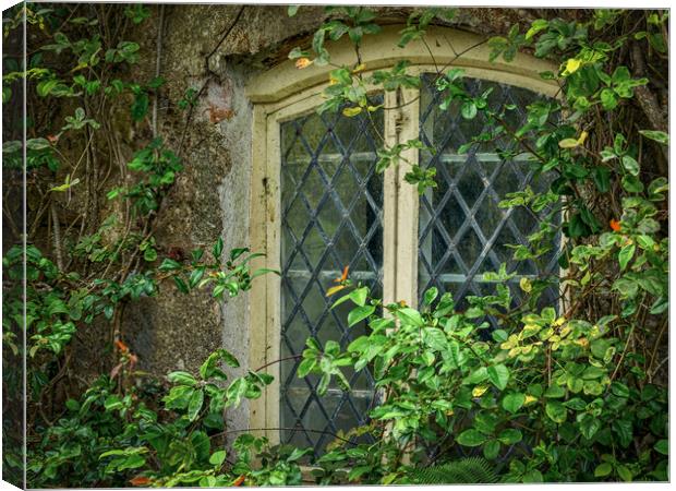 Traditional Window Canvas Print by Mark Llewellyn