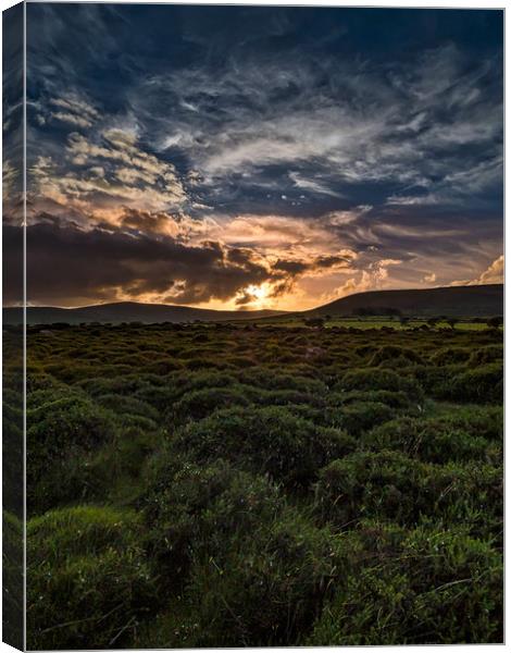 Preseli Sunset, Pembrokeshire, Wales, UK Canvas Print by Mark Llewellyn
