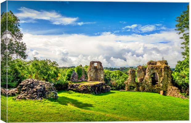 Narberth Castle, Pembrokeshire, Wales, UK Canvas Print by Mark Llewellyn