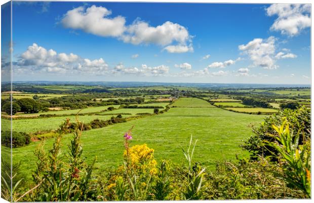 Preseli Mountains, Pembrokeshire, Wales, UK Canvas Print by Mark Llewellyn