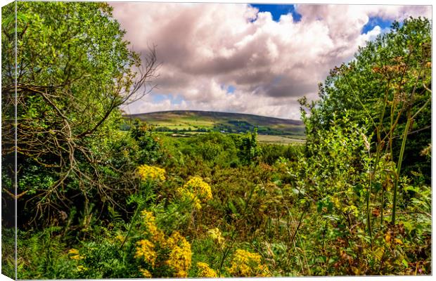 Preseli Mountains, Pembrokeshire, Wales, UK Canvas Print by Mark Llewellyn