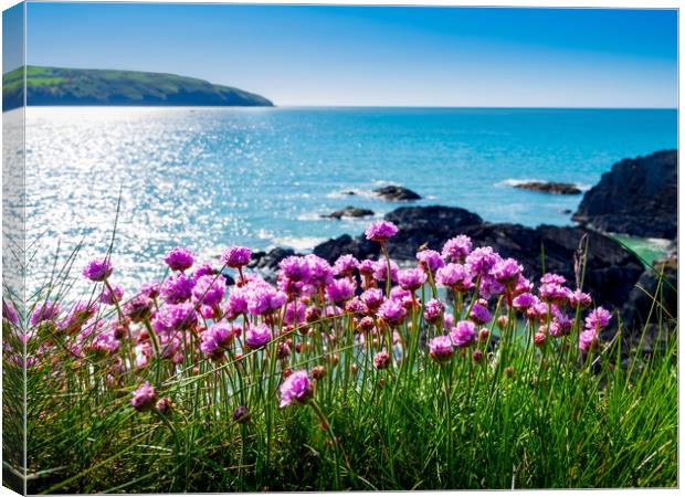 Sea Pinks, Cardigan Bay, Pembrokeshire, Wales, UK Canvas Print by Mark Llewellyn