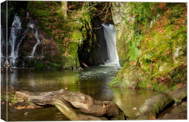 Ffynnone Falls, Pembrokeshire, Wales, UK Canvas Print by Mark Llewellyn