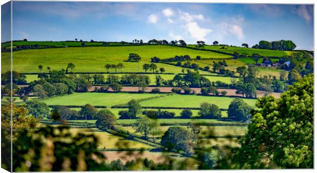 Summer Fields, Pembrokeshire, Wales, UK Canvas Print by Mark Llewellyn