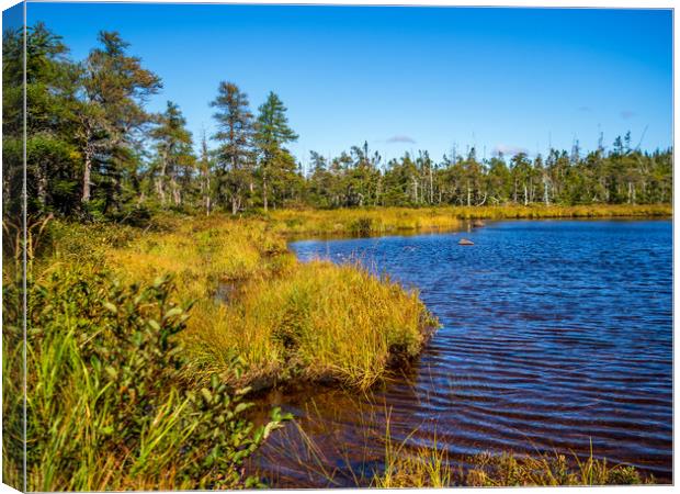 Benjie's Lake, Cape Breton, Canada Canvas Print by Mark Llewellyn