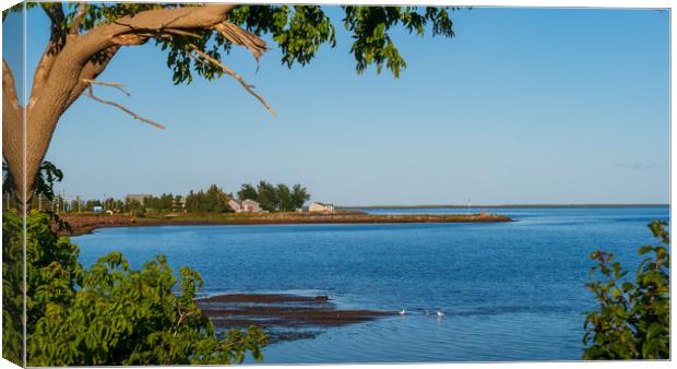 Bouctouche, New Brunswick, Canada Canvas Print by Mark Llewellyn