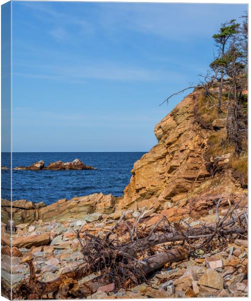 Cape Breton Coast, Canada Canvas Print by Mark Llewellyn